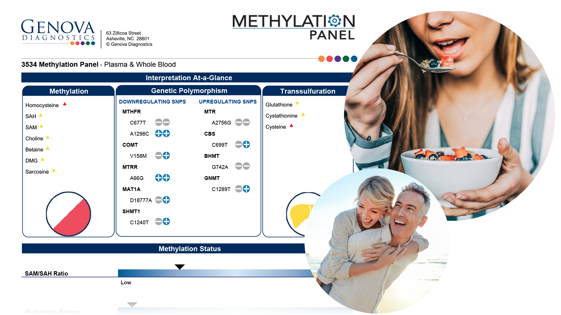 Product Description Methylation